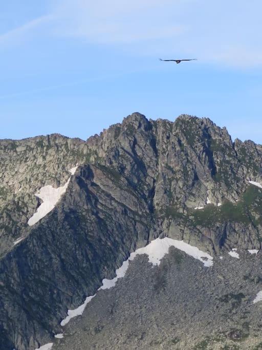 "Le Desman" Confortable T2 A La Montagne Face Aux Thermes Rando, Cure Aulus-les-Bains Exteriér fotografie