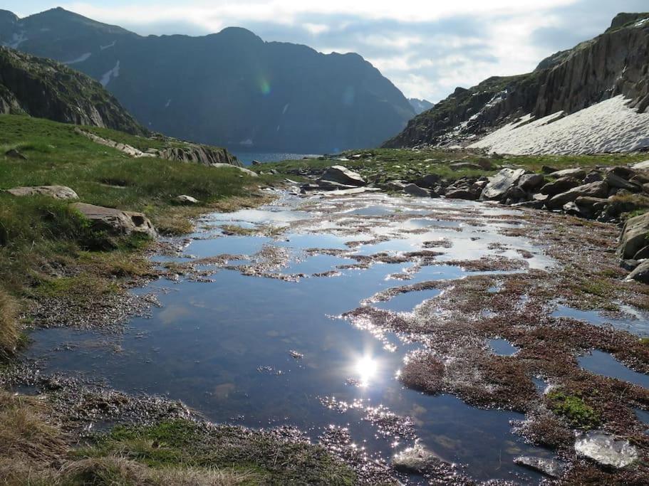 "Le Desman" Confortable T2 A La Montagne Face Aux Thermes Rando, Cure Aulus-les-Bains Exteriér fotografie