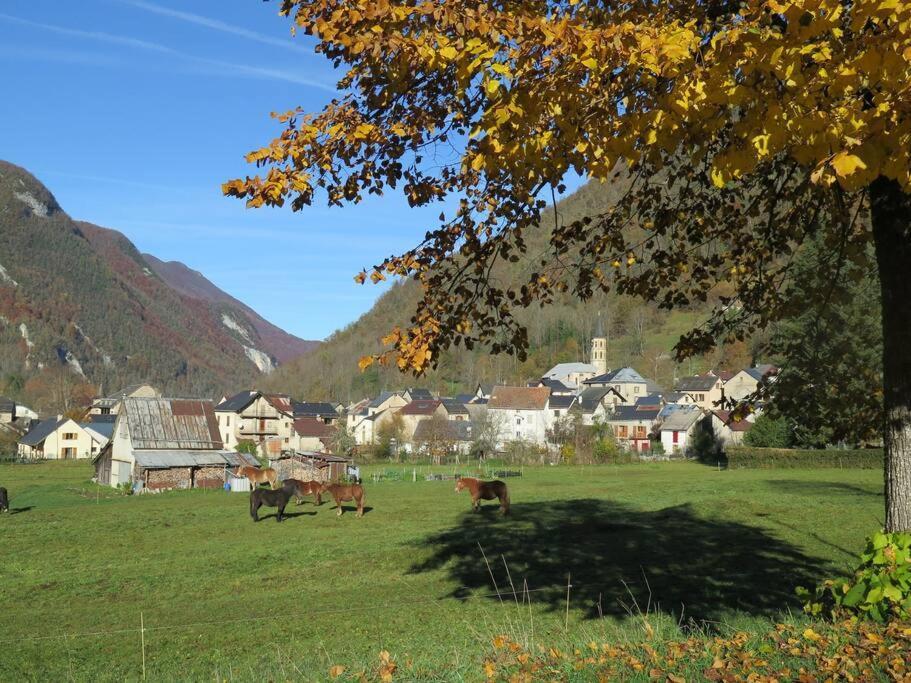 "Le Desman" Confortable T2 A La Montagne Face Aux Thermes Rando, Cure Aulus-les-Bains Exteriér fotografie