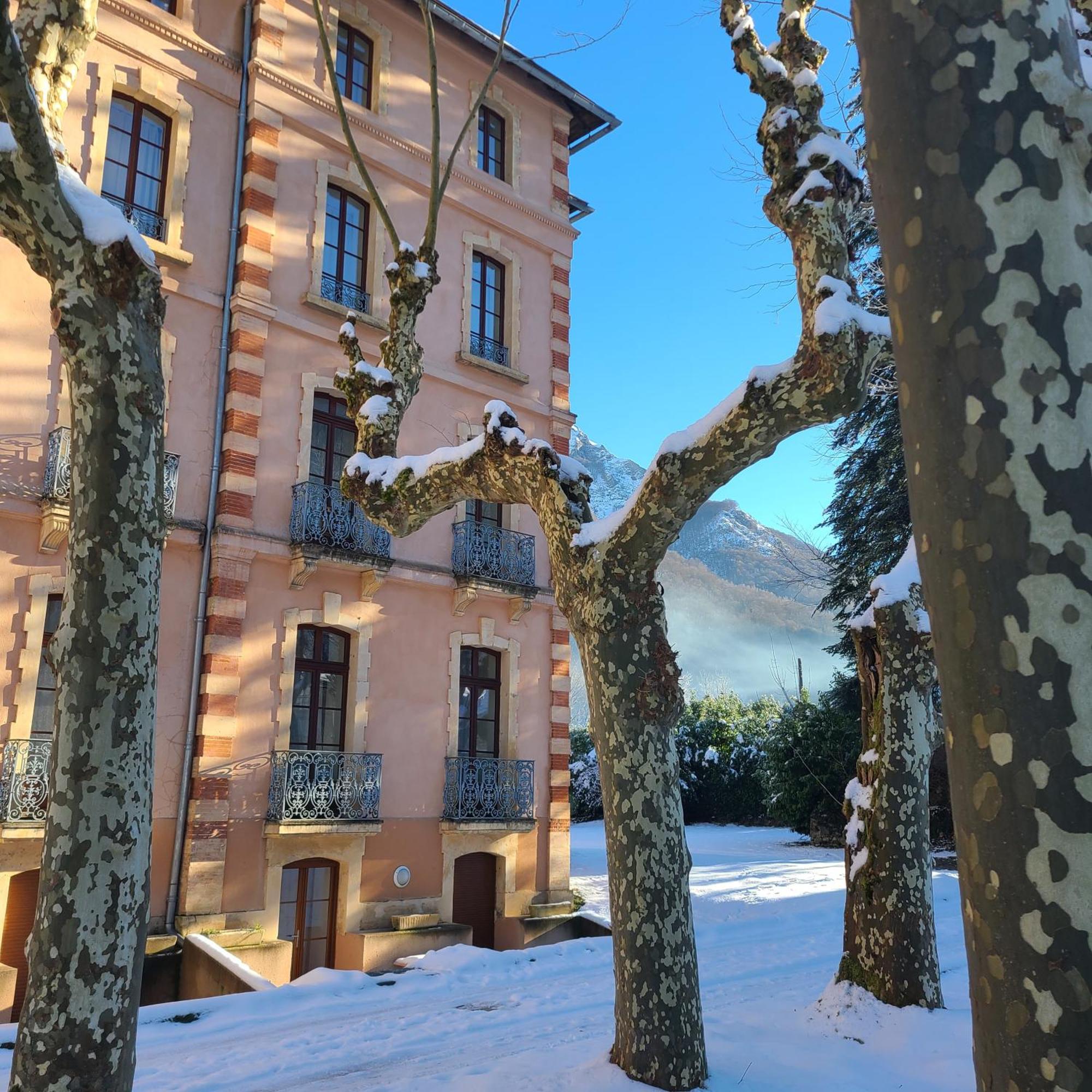 "Le Desman" Confortable T2 A La Montagne Face Aux Thermes Rando, Cure Aulus-les-Bains Exteriér fotografie